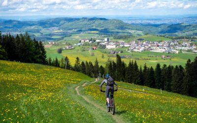 Städtereise für Mountainbiker – Zürich